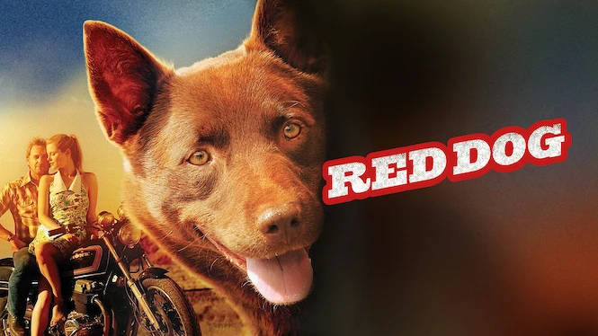 Red Dog